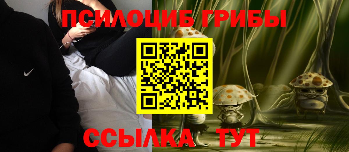 Псилоцибиновые грибы Psilocybine cubensis Строитель