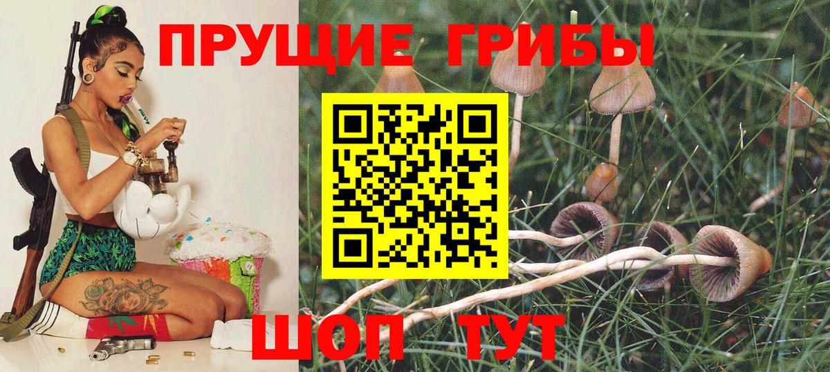 Галлюциногенные грибы мухоморы  Псилоцибиновые грибы мицелий  Строитель  Вход с VPN 